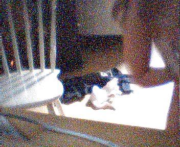 25P Self shot Pics 26