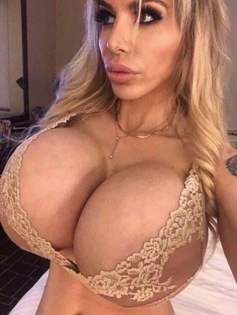 25P Danielle Derek Plastic Beauty Vol.1