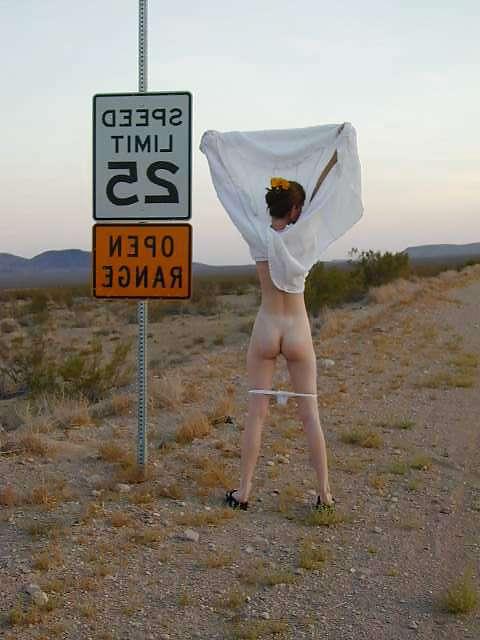 9P Alexis at Jean dry lake