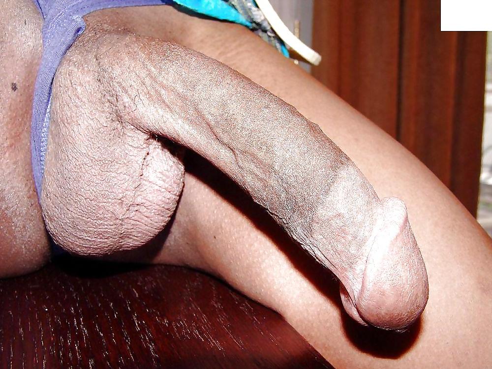 25P LET ME SUCK YOUR TRANNY COCK VI