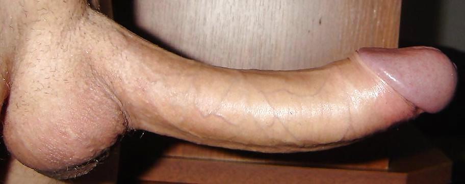 25P LET ME SUCK YOUR TRANNY COCK VIII