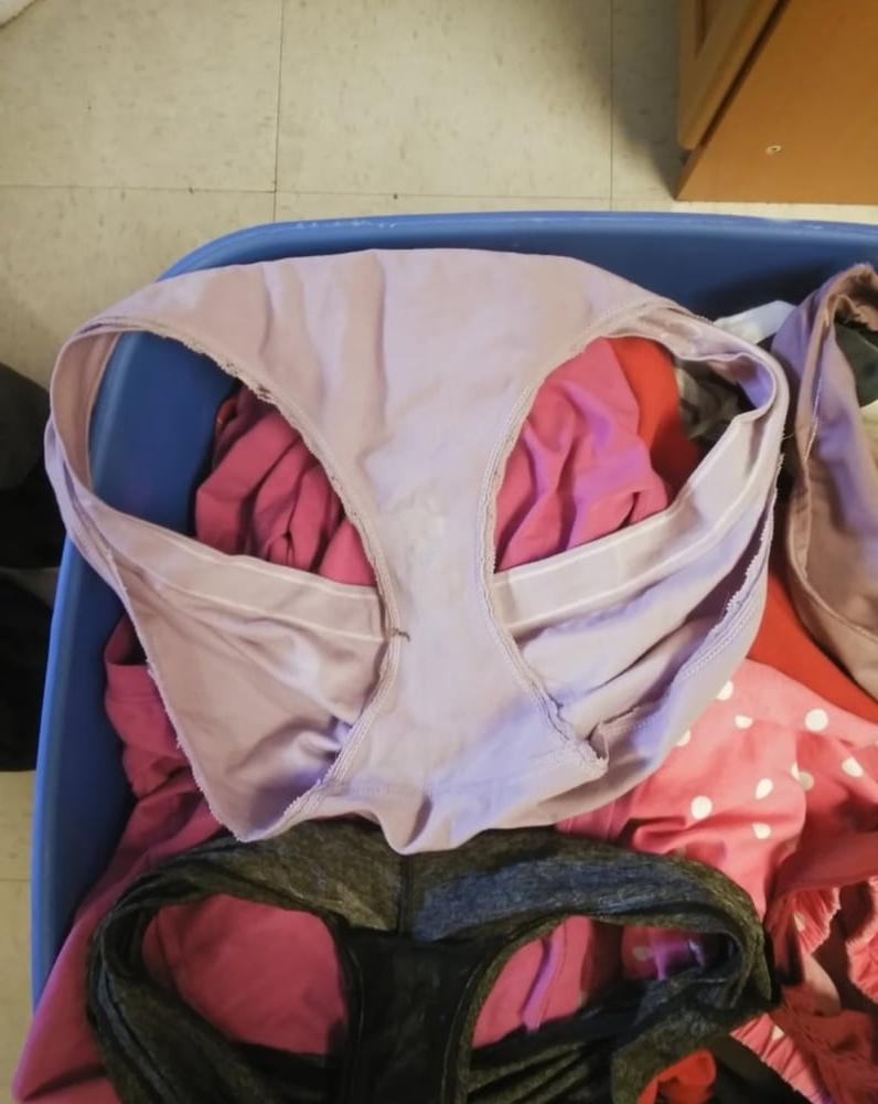 25P Cheryl Bear's Panties Violated (from panty-molester76)