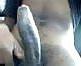 6P Pics of me hope you like what you see xxxx