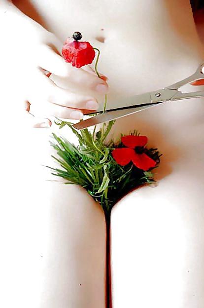 18P Happy Valentin ! to all my Friends !