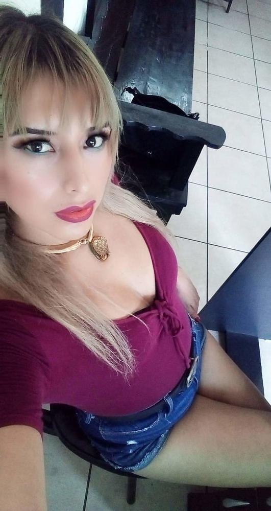 25P Beautiful, hot, dirty and tranny whores 3