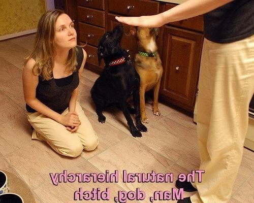 25P mulheres de coleira Leash women