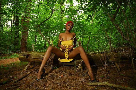 13P FiFi in a forest in Pennsylvania