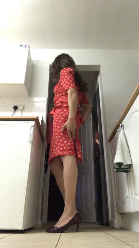 8P New vintage dress and vintage sheer 10 denier tights