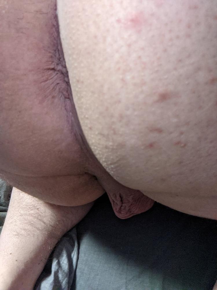 17P Ass Pictures #2 still need a dick destroing it!