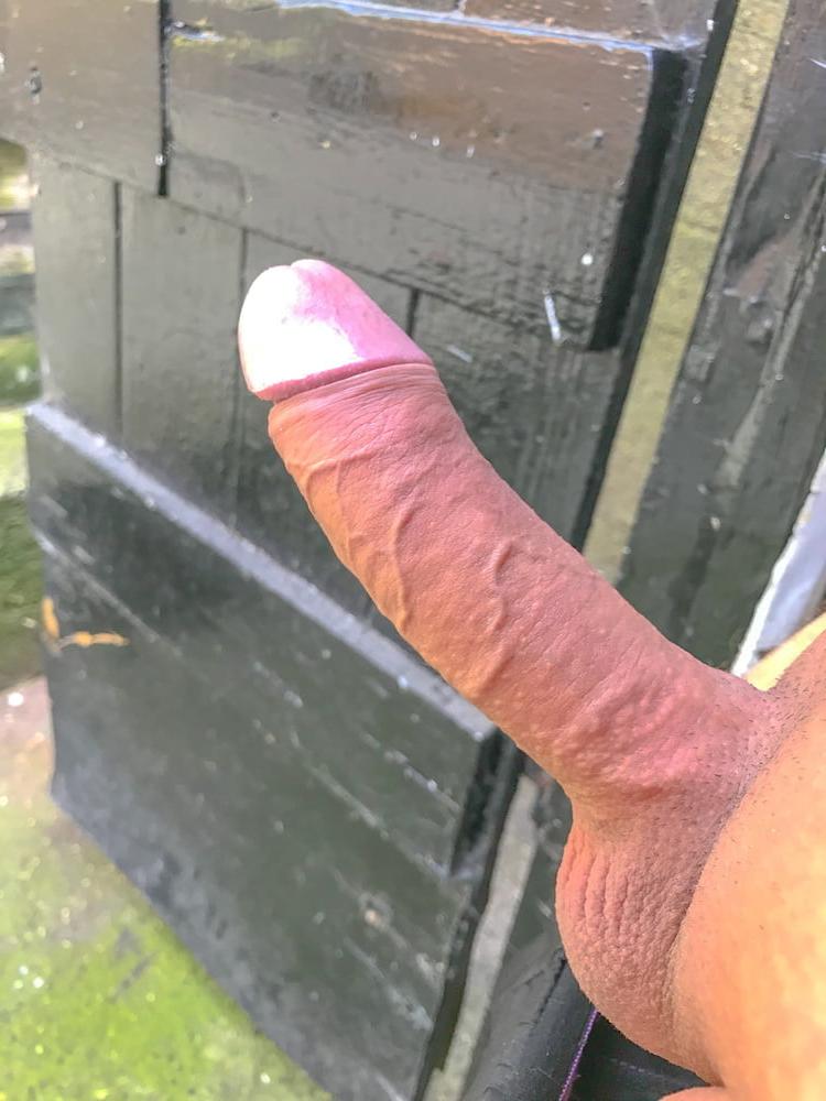 11P My Dick