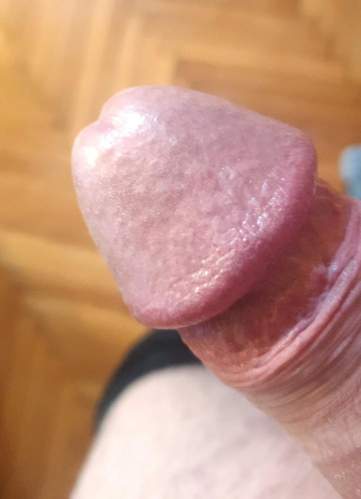 14P my dick