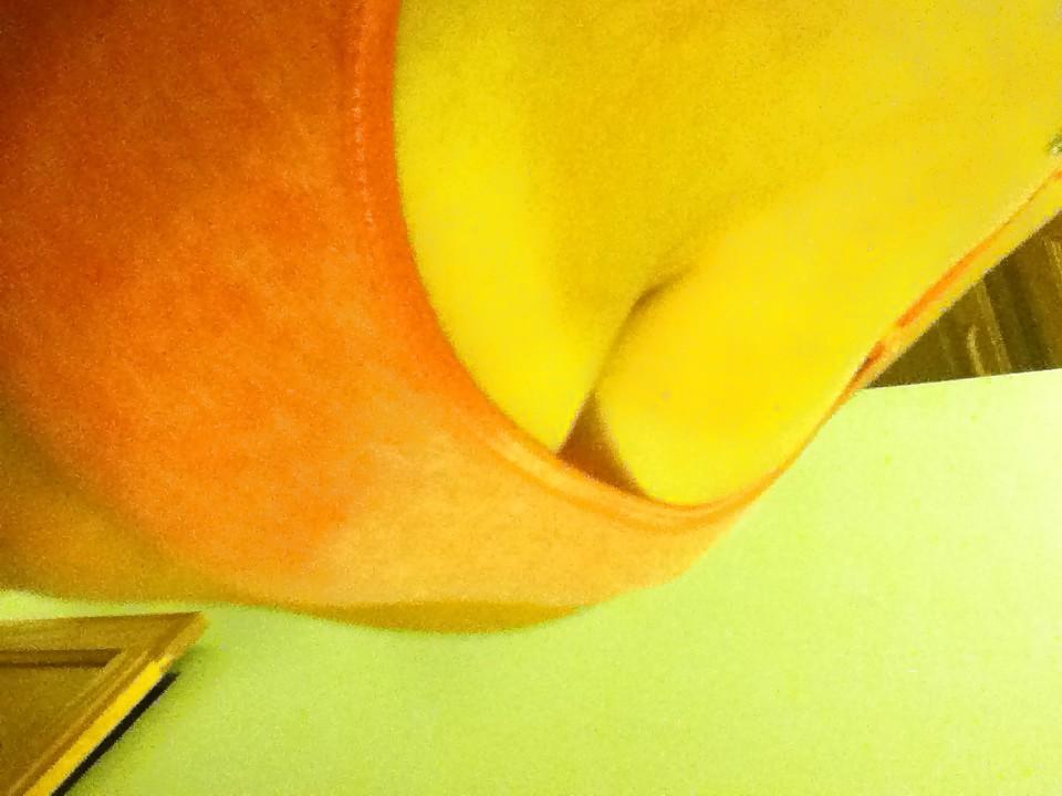12P Busty.Teen.