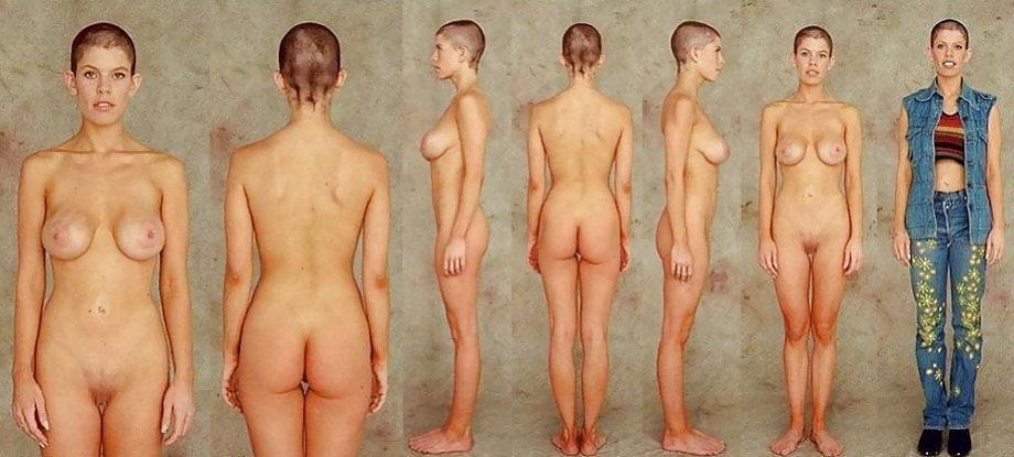 25P BODY TYPES C5M