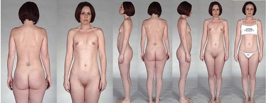 25P BODY TYPES C5M