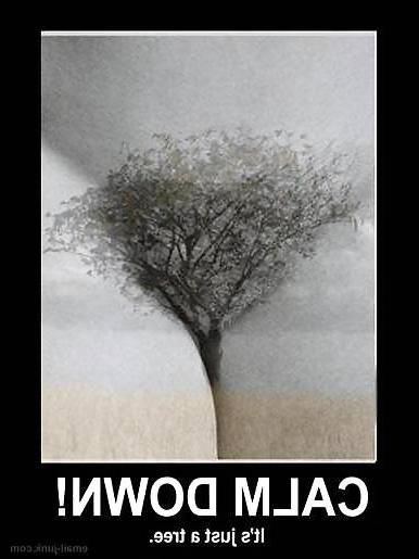 12P Dirty mind...