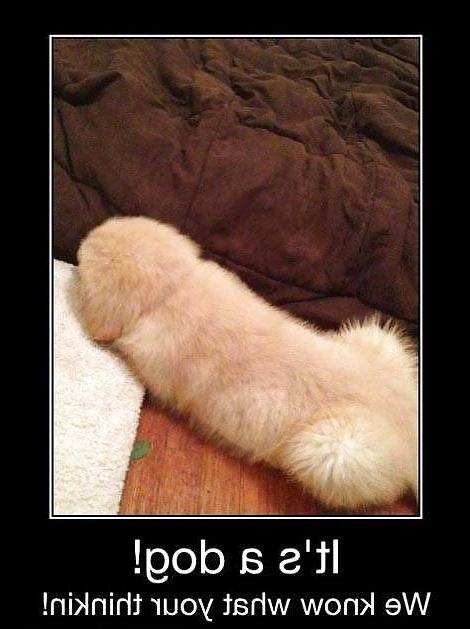 12P Dirty mind...