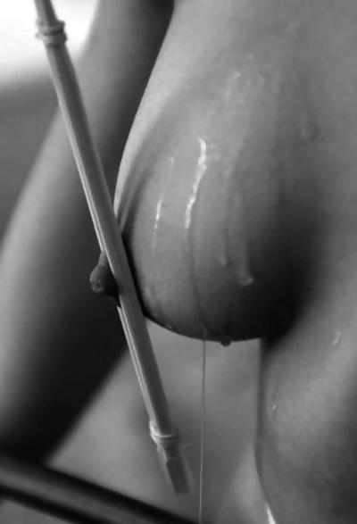 25P TB-gallery, Pain or lust XX