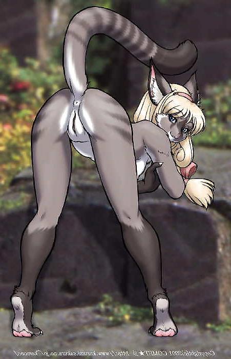 25P Special gallery (furry hentai)