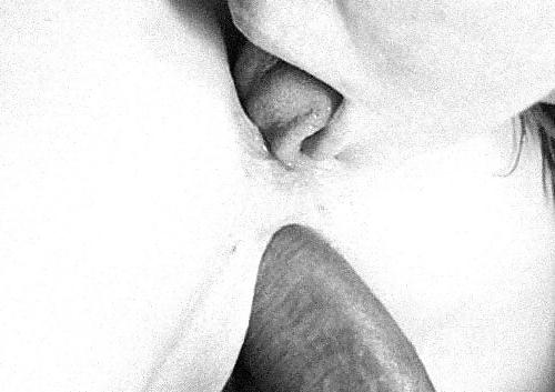 25P The Beauty of Photography B&W