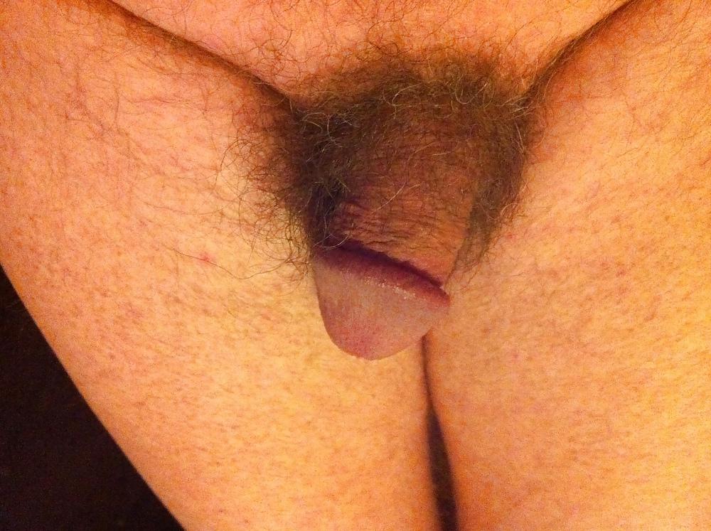 8P His ugly little penis