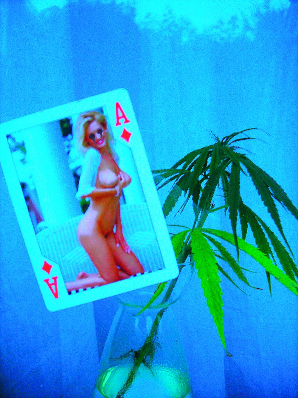 10P Woman in the Forest.