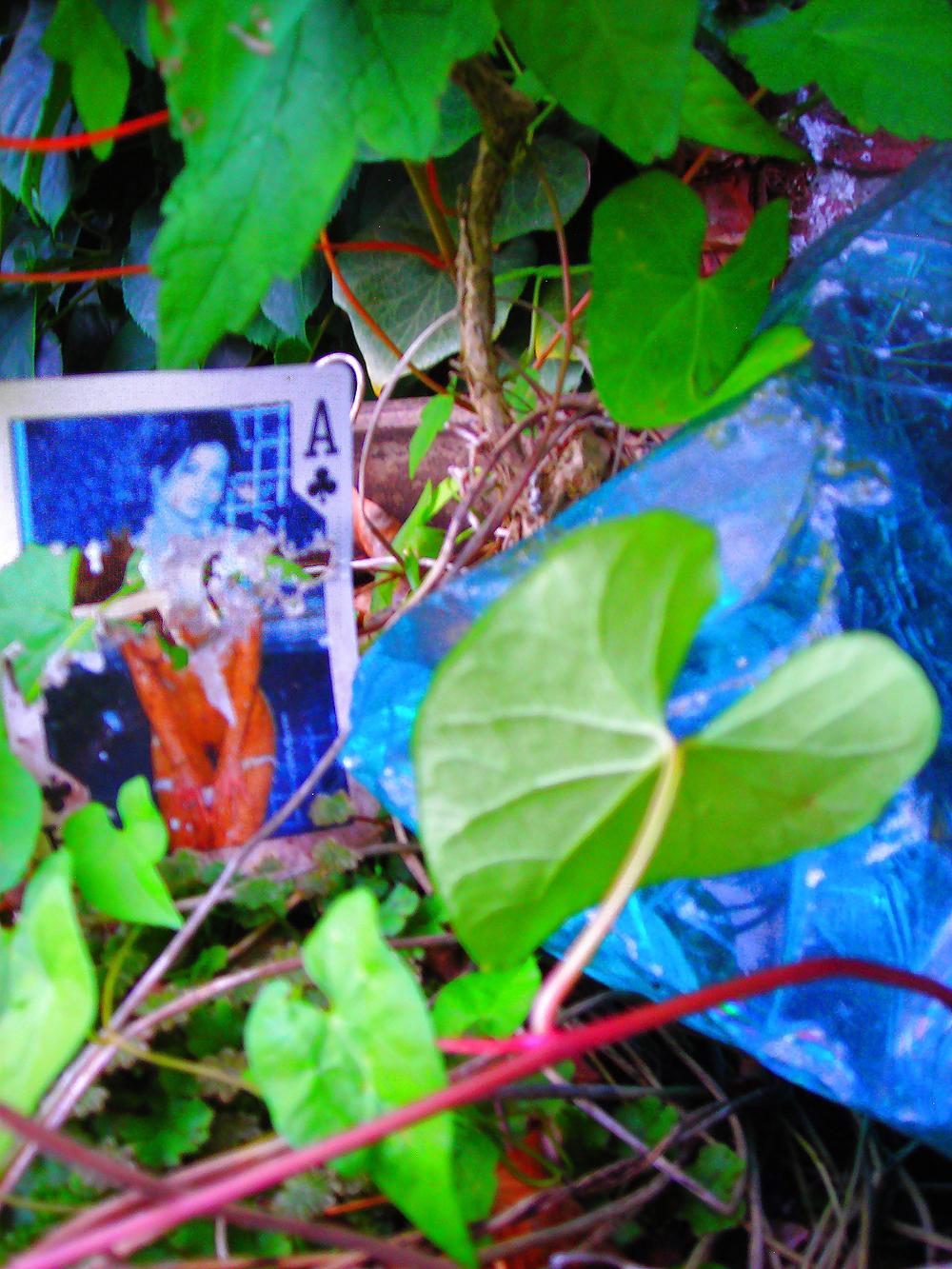 10P Woman in the Forest.