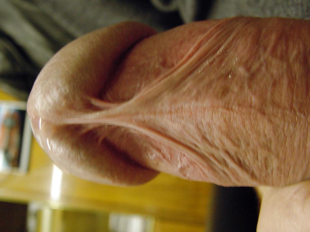 17P My cock  big cock  dick  wichsen grosser schwanz pimmel