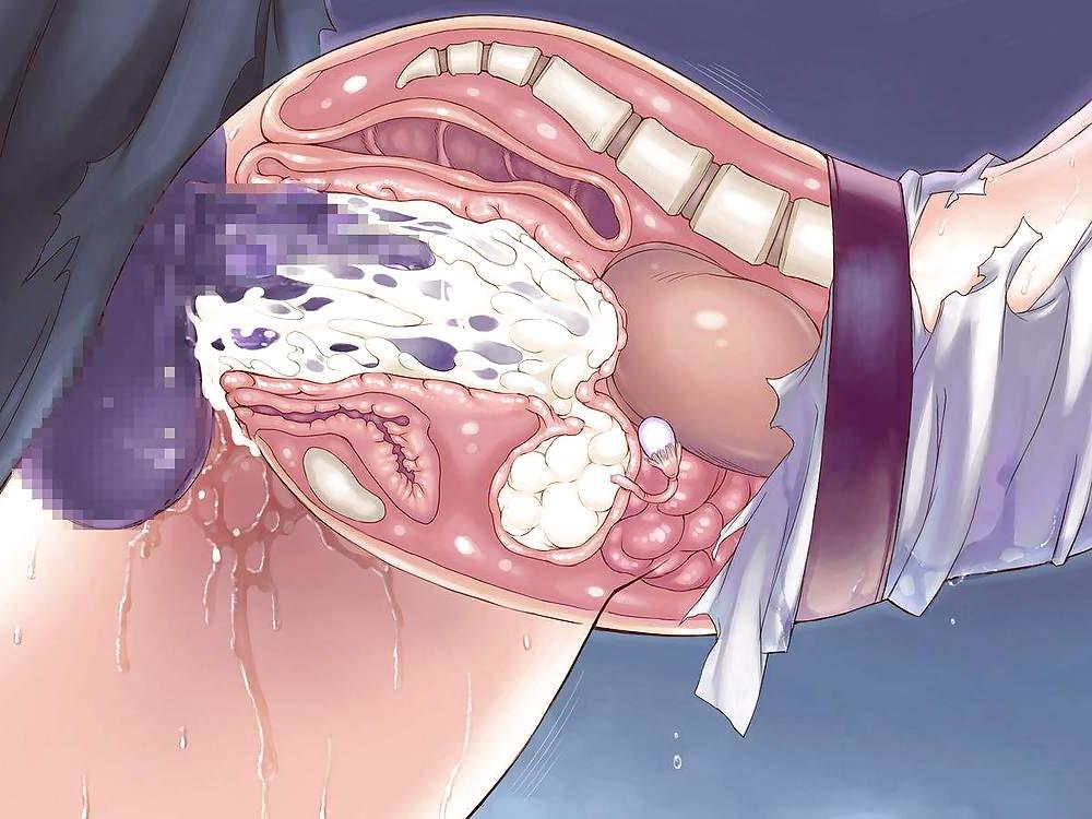 13P Hentai x ray