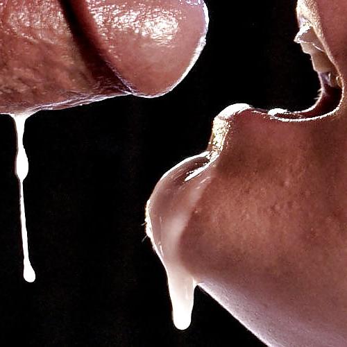 25P Worship the Cock! #02