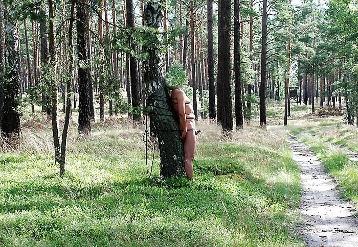 13P Geiler wald spaziergang horny walk through the forest