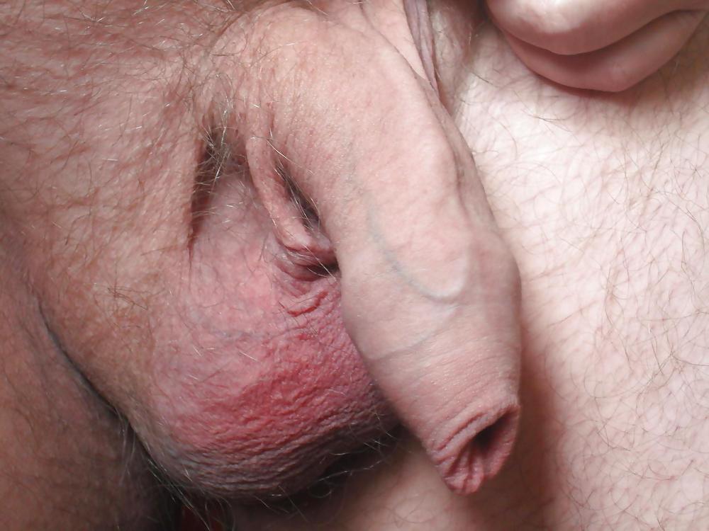 25P My uncut dick