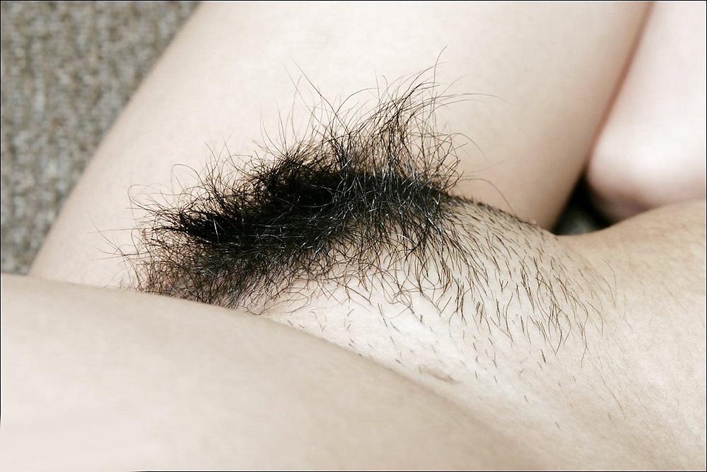 25P From the Moshe Files: Neatly Trimmed Beaver