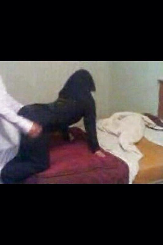 25P Arab sluts need dick