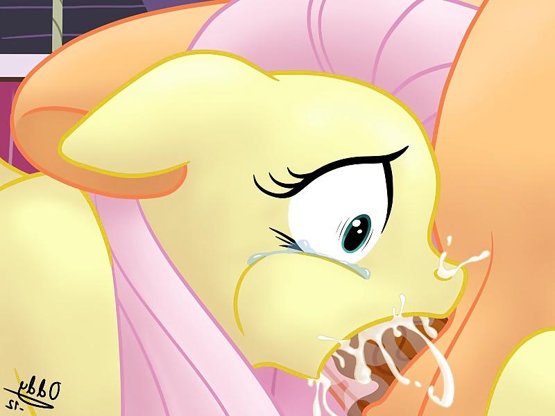 25P My Little Pony Friendship is Magic (MLP) 2