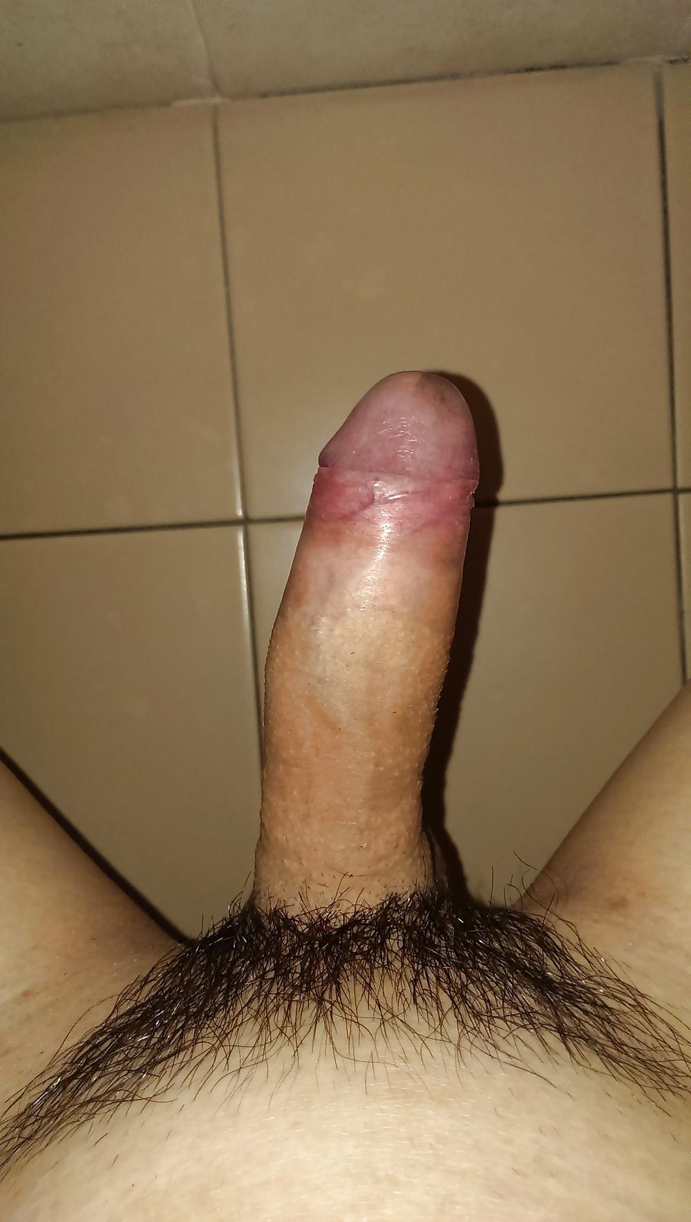 18P Little cock