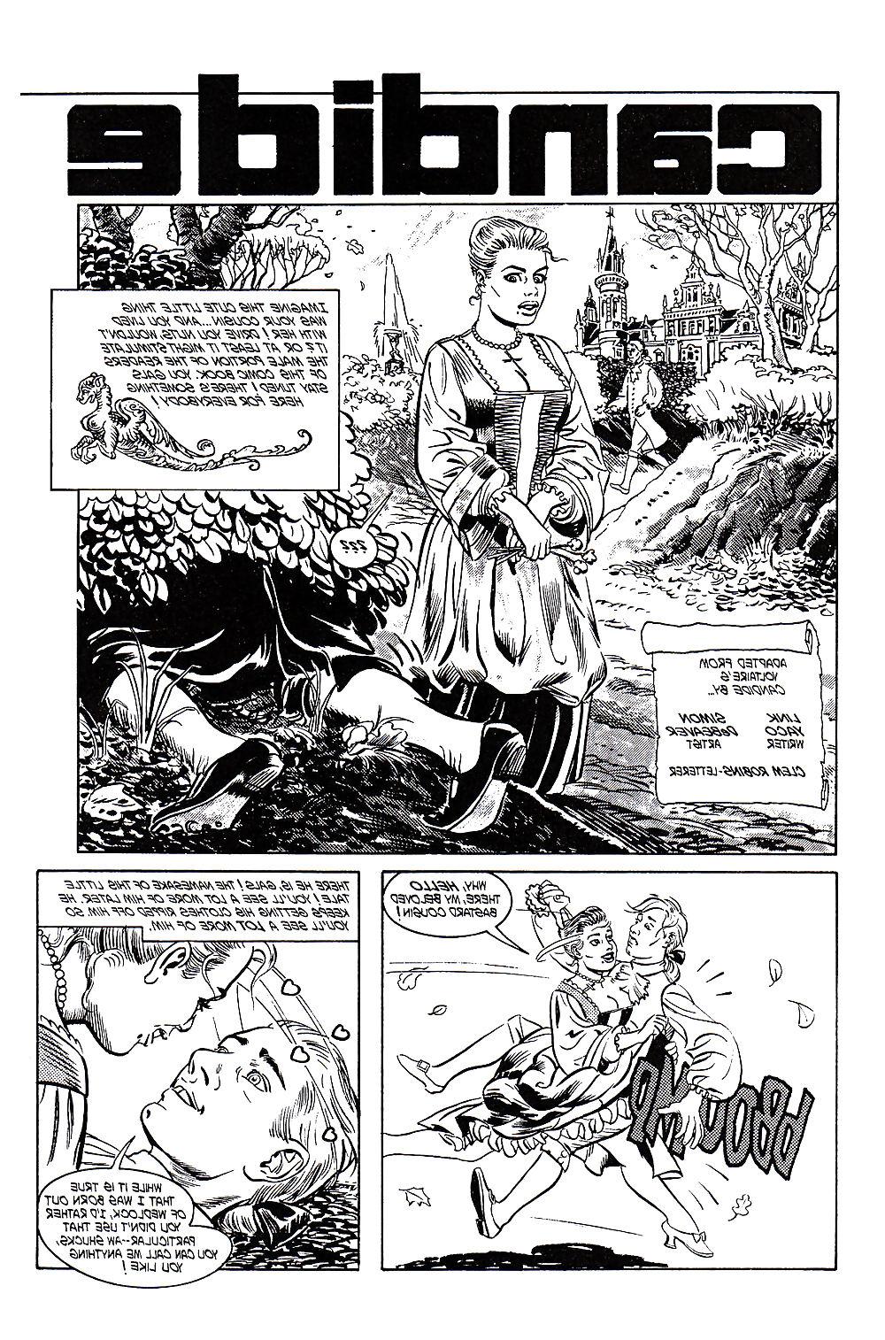 22P Simon de Beaver - Candide Revealed