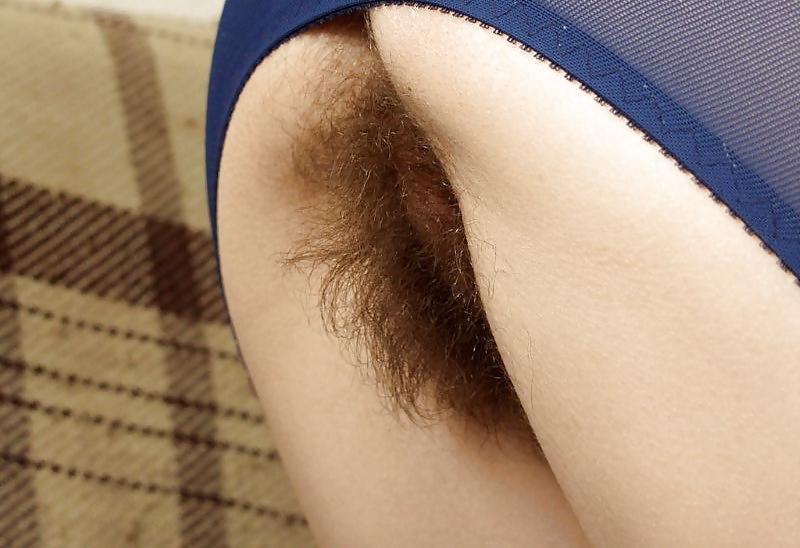 25P A la Moshe: Vive le castor poilu - hairy beaver