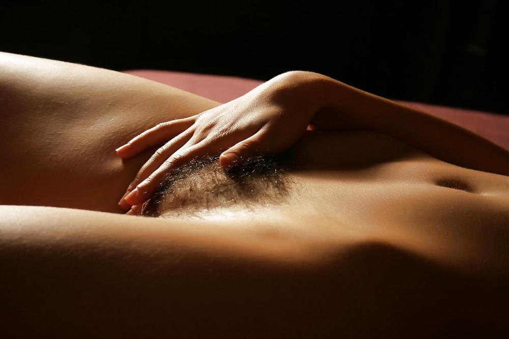 25P A la Moshe: Vive le castor poilu - hairy beaver