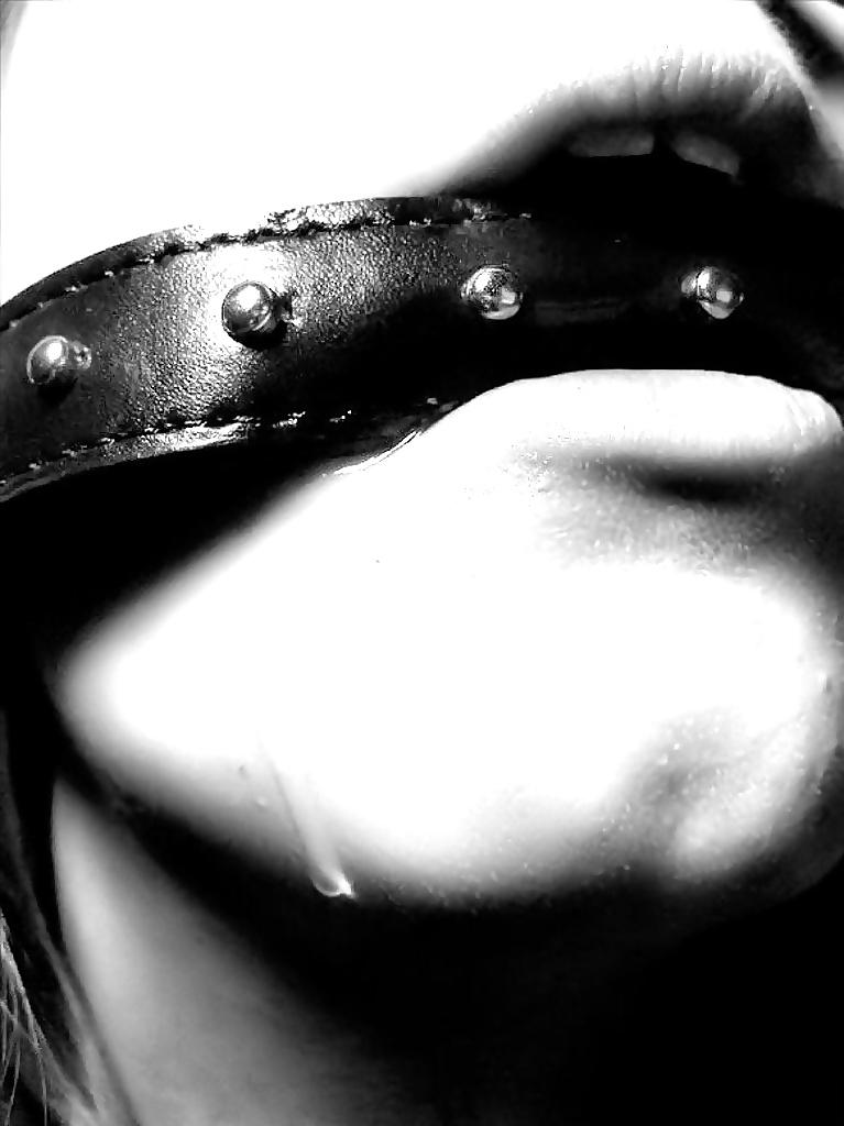 25P TB-collection pain of lust XII