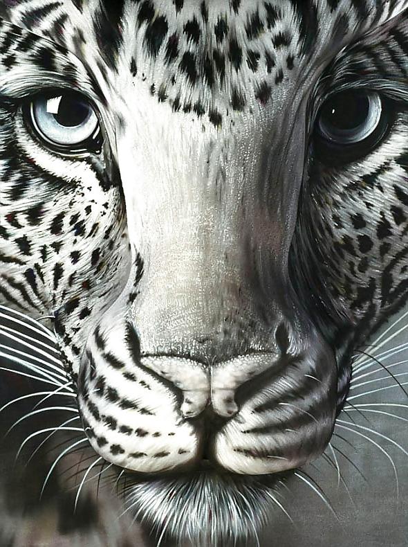 25P Body Painting Photo Gallery