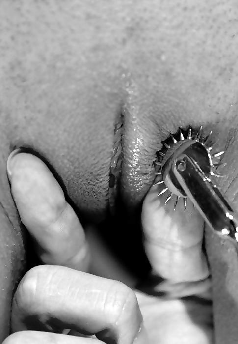 25P TB-collection pain or lust V