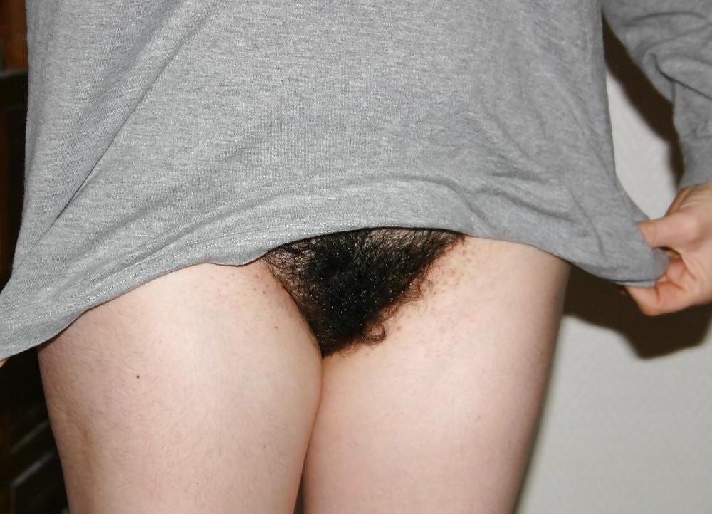 25P From the Moshe Files: The Hairy Beaver Returns