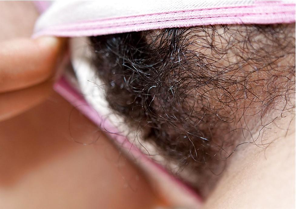 25P From the Moshe Files: The Hairy Beaver Returns
