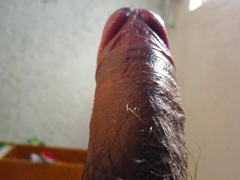 11P MY COCK DICK PENE HARD ERECTION