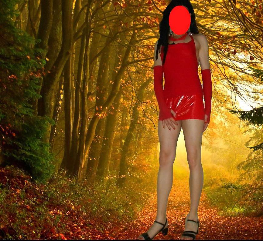 4P Little Red Riding Hood