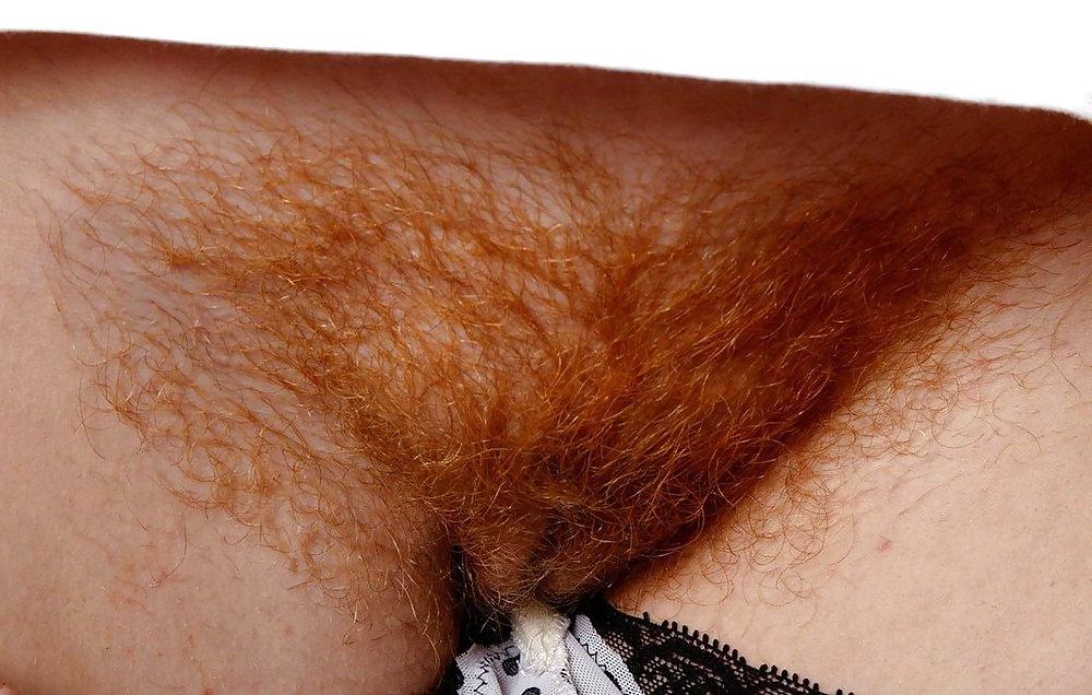 25P From the Moshe Files: The Exotic Red Beaver