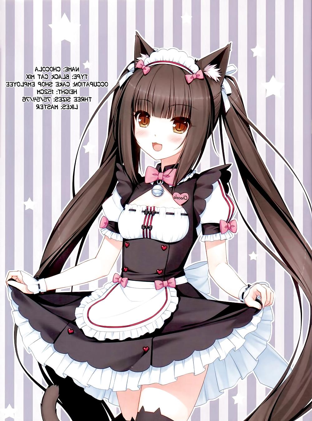 25P Neko Para 01 (catgirl Neko Hentai)