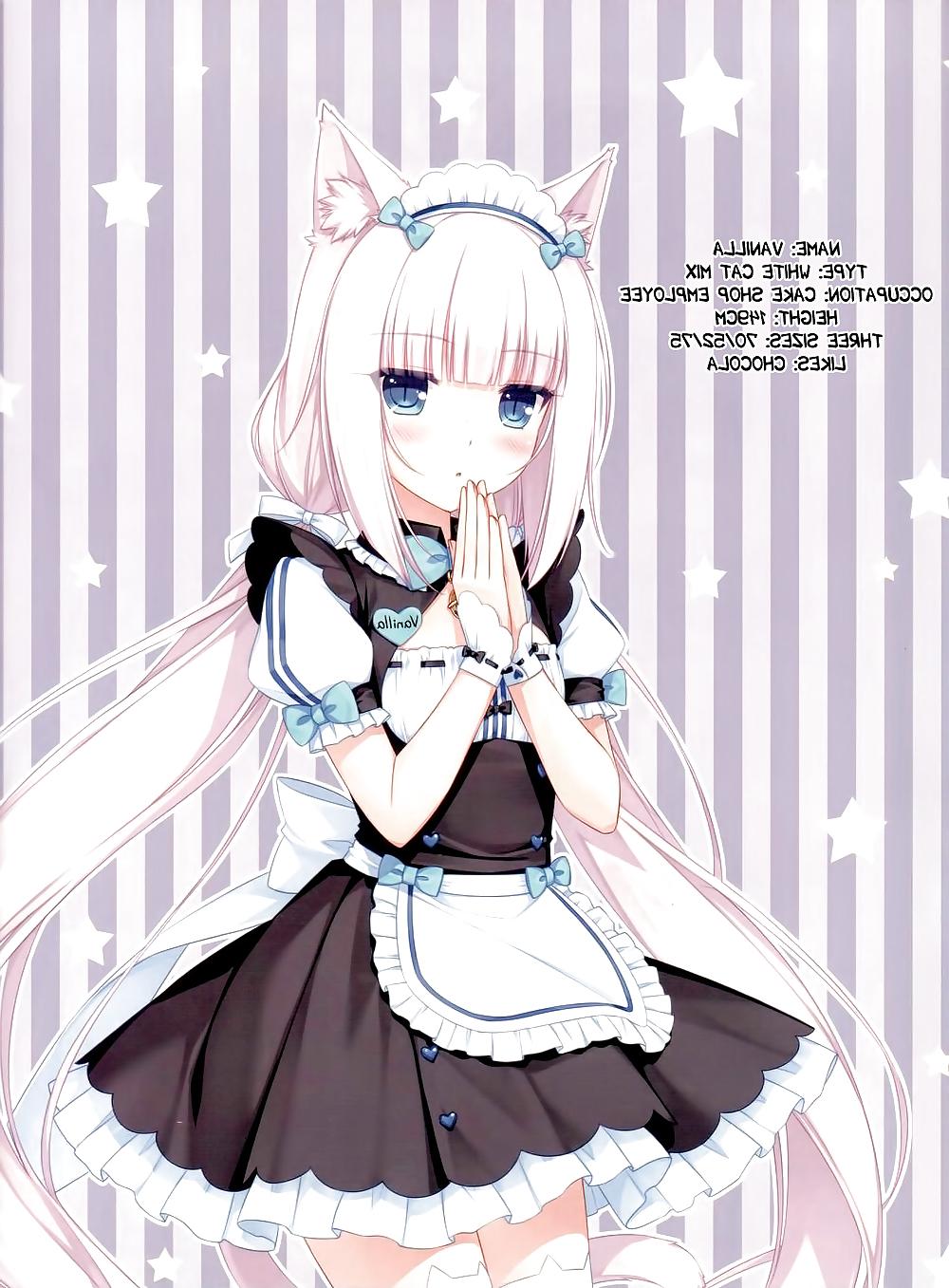25P Neko Para 01 (catgirl Neko Hentai)