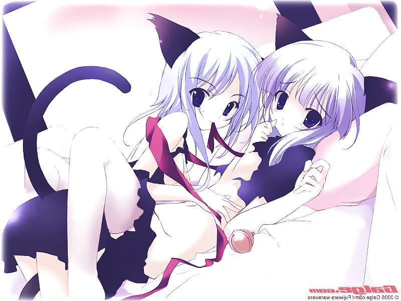 25P Hentai i like : Catgirls