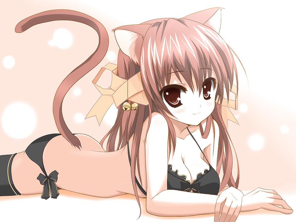 25P Hentai i like : Catgirls